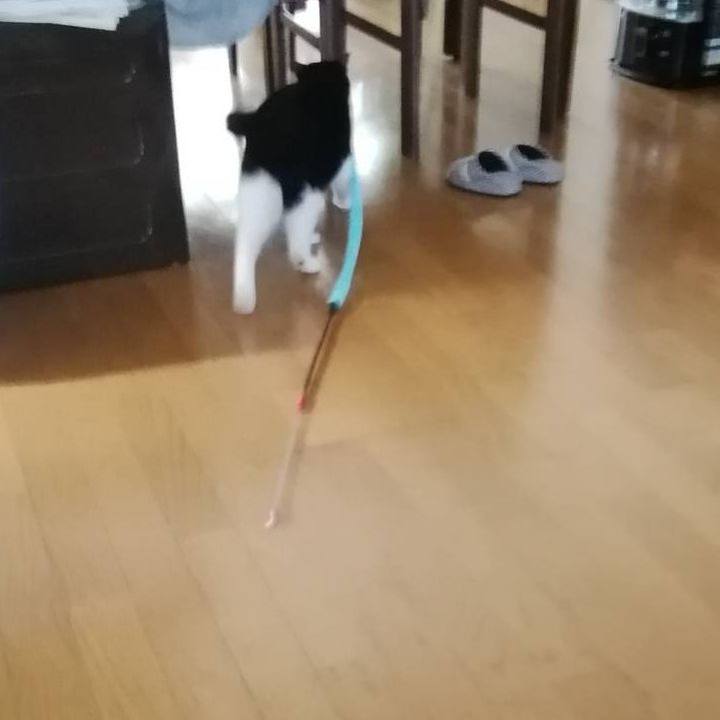 33b7f481 756e 4475 a295 59778c1c2309 1555052549448