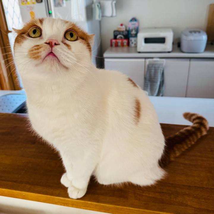 33b7f834 b5c6 40ce b55a a2d5d13ef1f0 1770690011111