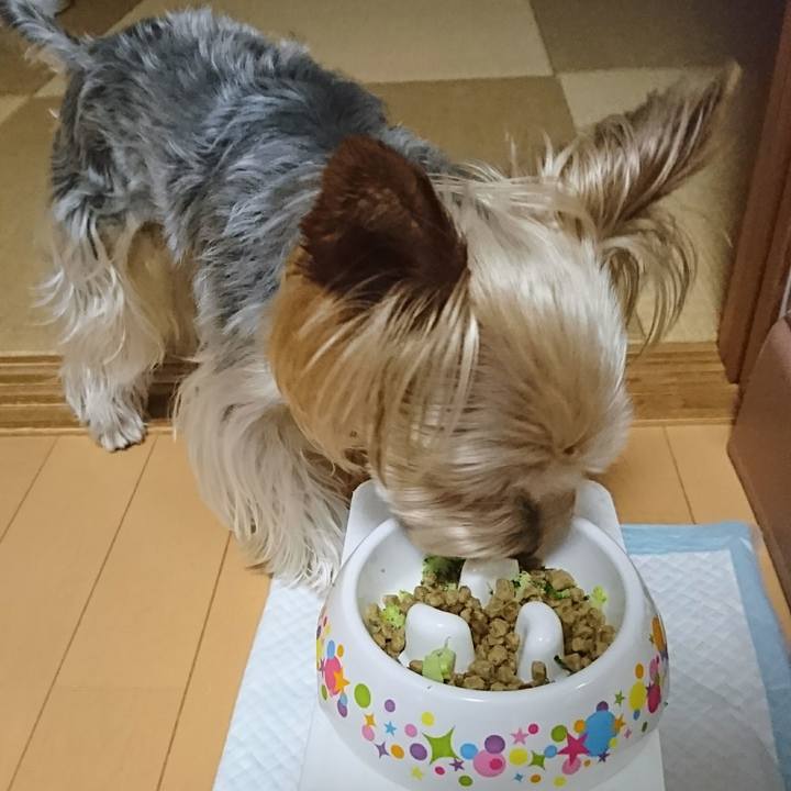 33b80213 8ba6 4daa b10e 51bf4a59b1e3 1529015701934