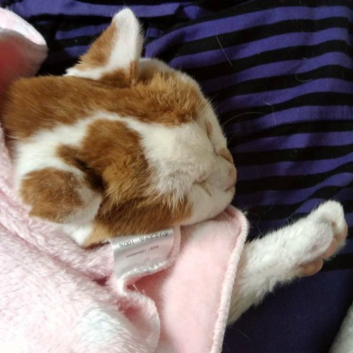 33b82655 3eac 4f7d 8060 2a31a9923985 1610622436208