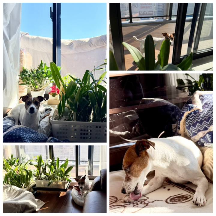 33b84851 7328 4f94 b02c c87b127abc15 1769135327782