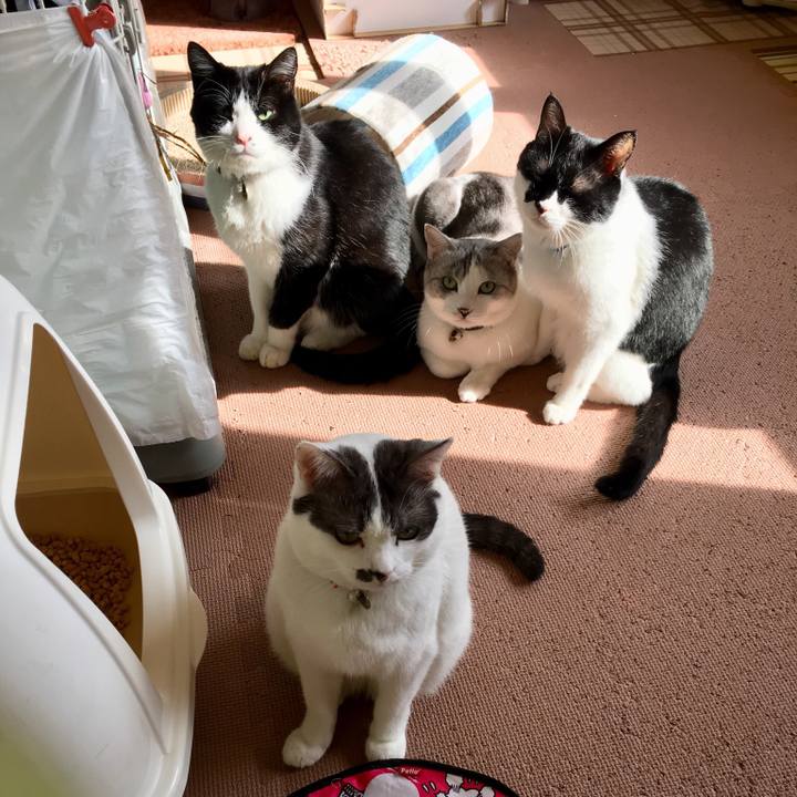 33b883bf d9f5 41d9 a1e0 d56df33d4fed 1510713432388