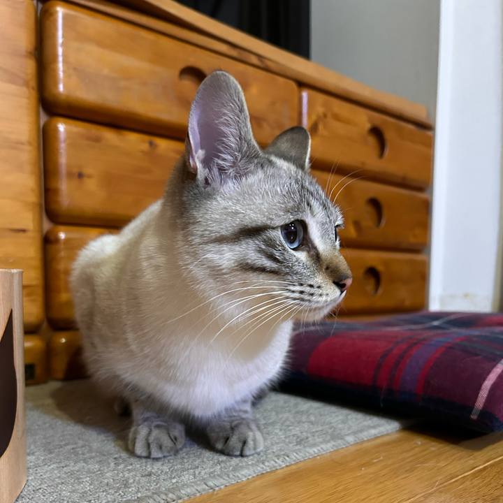 33b88606 99b1 412f 9402 5c25f5a4340f 1739973767474