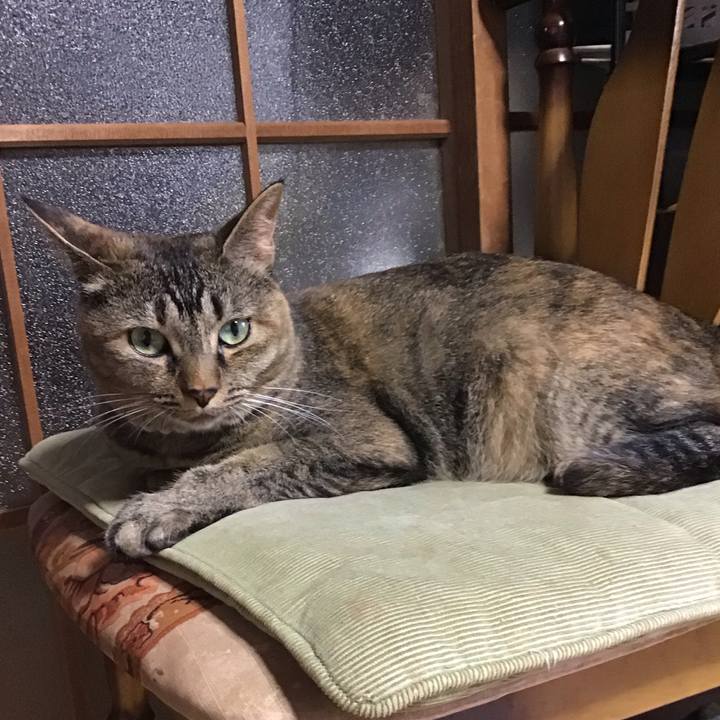 33b888d7 24e4 4a39 8992 e8e62a628a82 1659095411105