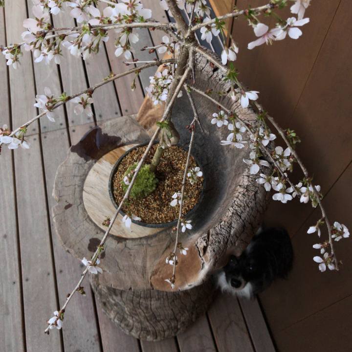 33b89100 e51c 4b99 b2a7 f4bb01b5e56a 1521945042028