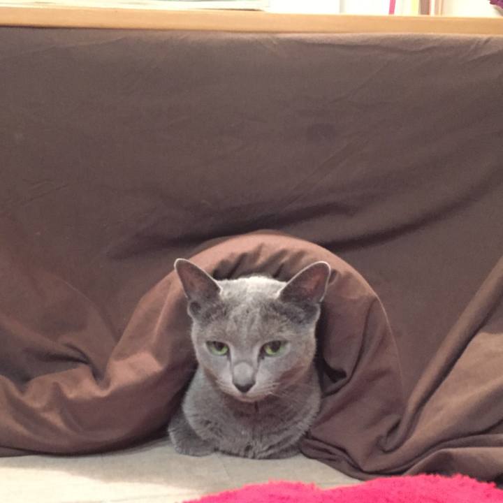 33b8c3d0 4bf2 4dcd 91f7 db8f5453229c 1518093701258