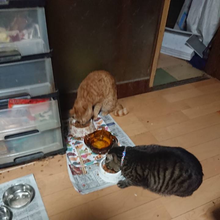 33b8c787 467a 4a2e b0d6 640f44cc22d7 1655294408701