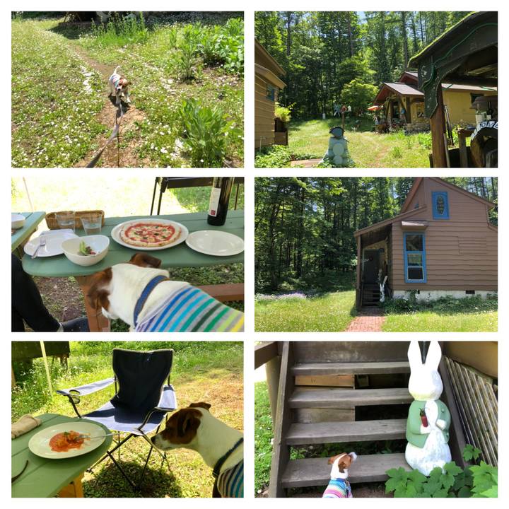 33b8d986 195a 4a76 b4f9 6408efc1314b 1528363760296