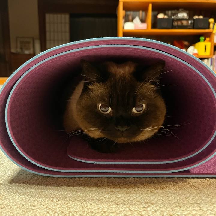 33b8efe3 d0fe 47e6 a65a a7cf1a27d080 1717672609826