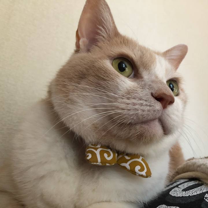 33b8ff1c 82d2 4d72 a7a1 871bd3882f25 1576753893280