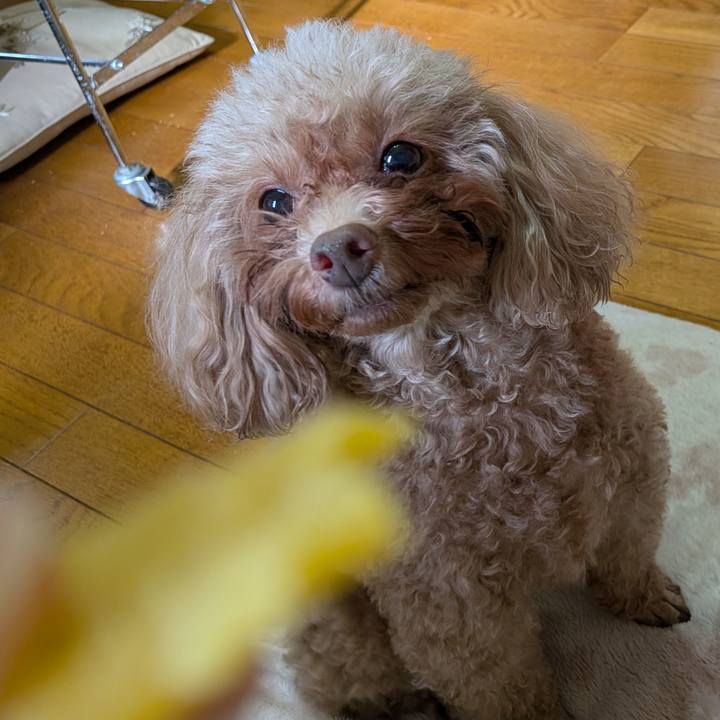 33b919ab 2610 45ed af6a c4c6f34e59cb 1763269124434