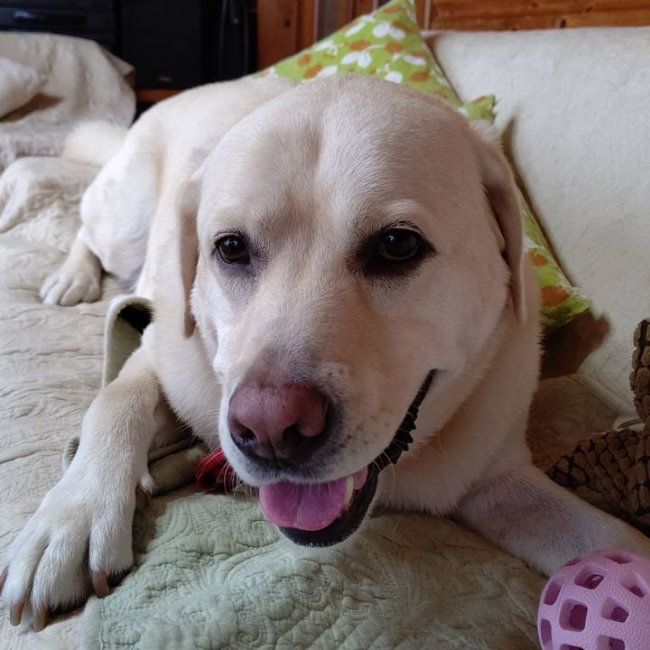 33b92e34 d3a8 45d9 ae7c b80984b0ae87 1601002519324