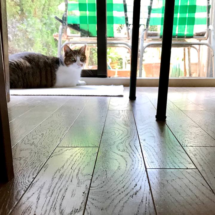 33b97900 57a7 445d bad9 5b6d94c3f620 1566014657110