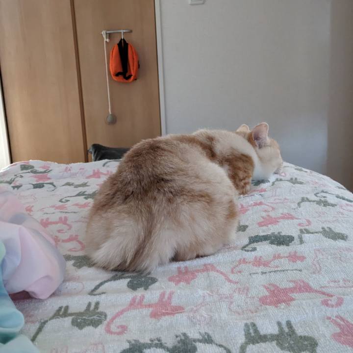 33b97c5f d981 44dc 9c47 519f04146e13 1715287510196