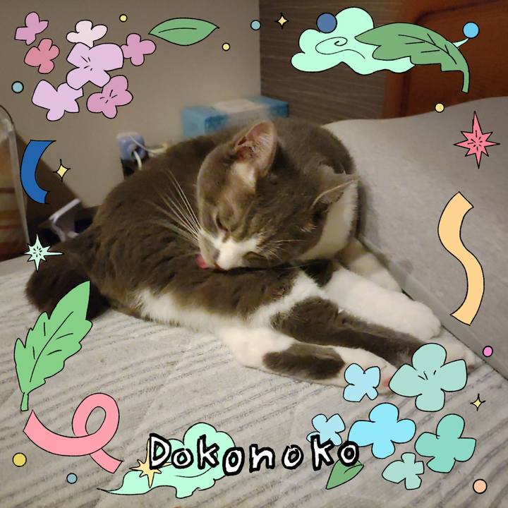 33b9972b 7d76 4b96 8f3b 0ae81cfceba7 1717583833980