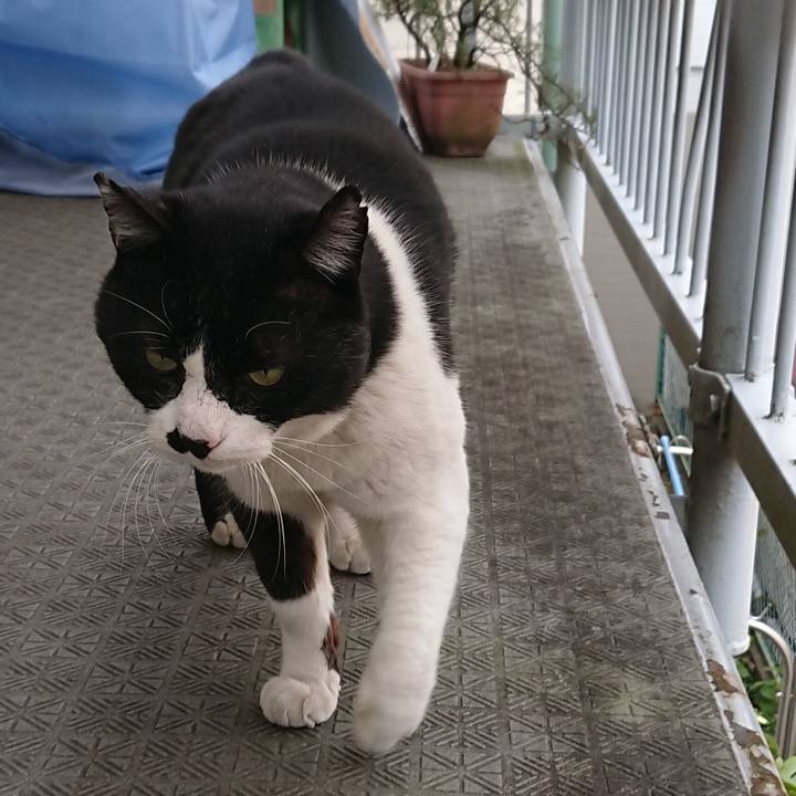 33b9b20e b011 4c67 ad74 7fb1518a8882 1548820108390