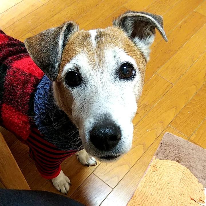 33b9b287 2a70 468a bf4d 7f14426676d4 1544332067015