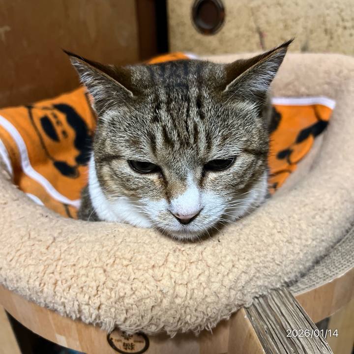 33b9bf21 f78a 4369 ba39 2aa327552fea 1768342121469