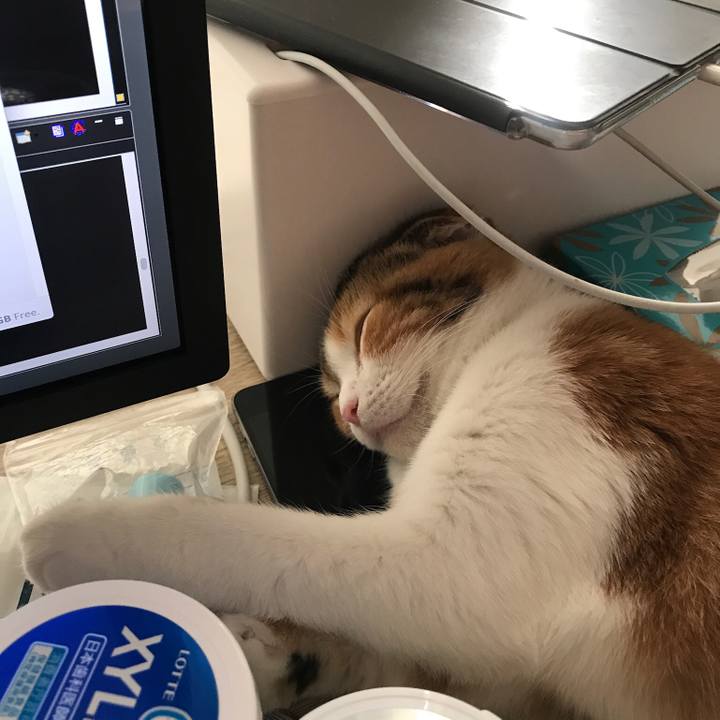 33b9c500 1972 4ceb b787 8ec226a4fdac 1510918155080