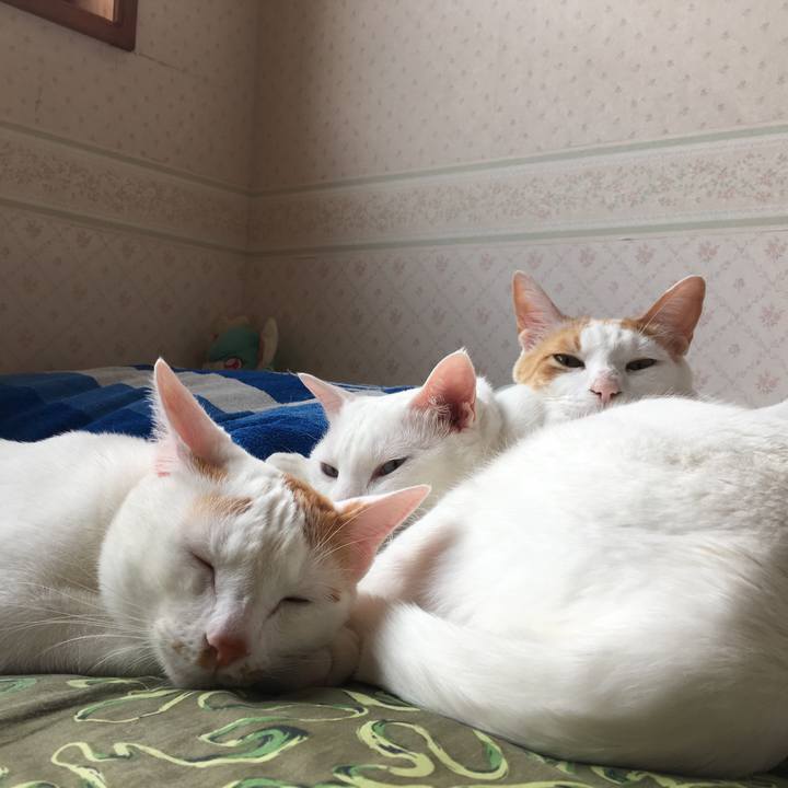 33b9c758 9d1f 4d9c 8dd2 af856838ae4a 1526108558941