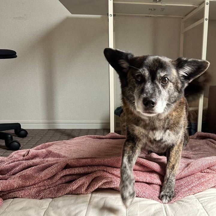 33b9f061 f611 4967 980b 0cfca9c74467 1693654728276