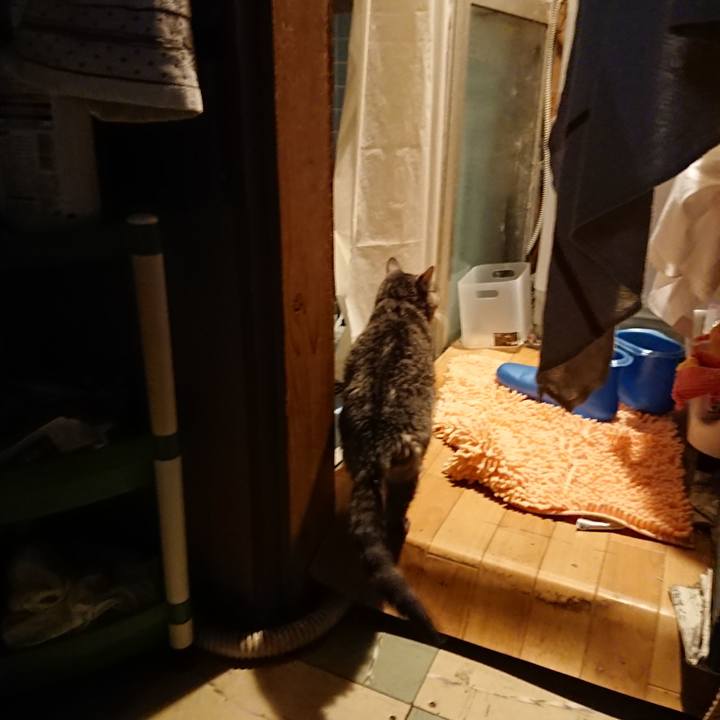 33ba2295 e3c5 4686 b20a 3296ddad3636 1579768725927