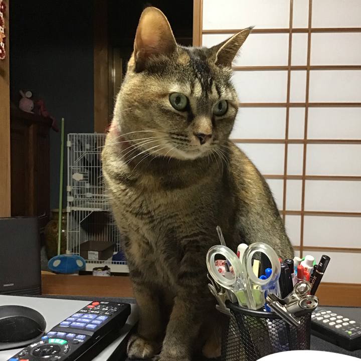 33ba3fc7 a775 4886 b410 34a848ed06ad 1704880346512