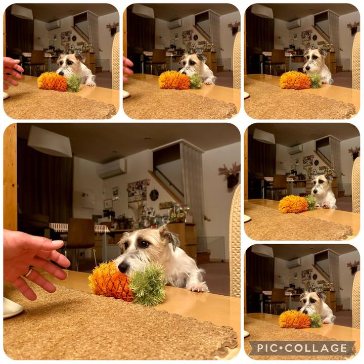 33ba9567 6b7a 4b8a 9c6c 32abba652158 1702821843710