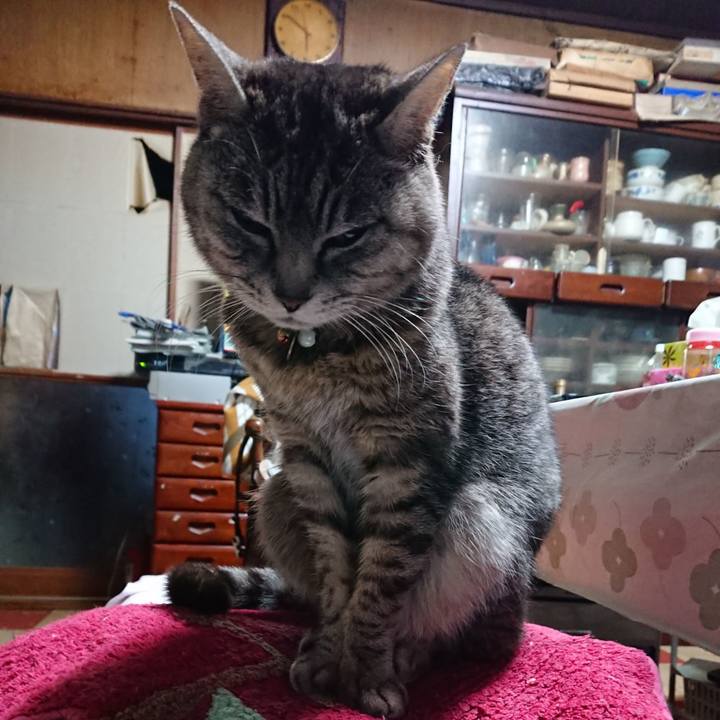 33bab0fe 55e8 43a8 84b1 4ff69c6d6ac3 1552942740058