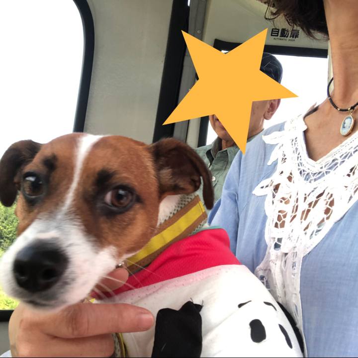 33bae025 e911 4b80 a8ae 57cd7d23da23 1565323045936