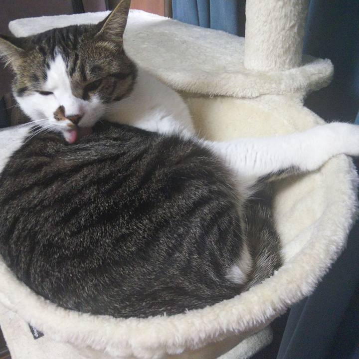 33bb00e9 ac54 48ae a519 62139093befe 1655171820445