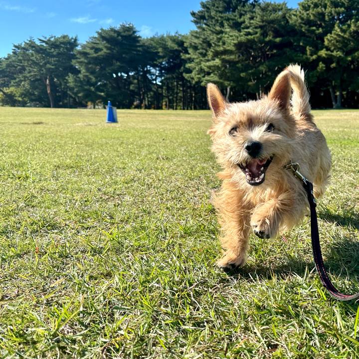 33bb116d dbf7 4788 a119 40053236f0b2 1731162727434