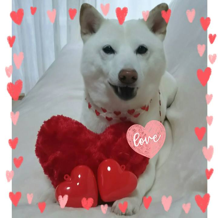 33bb186f 4d08 4d58 aa91 d5ae426452f5 1581633989273