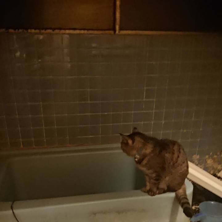 33bb2a59 46d7 4f5f aab7 0f19e80fab07 1573463478942