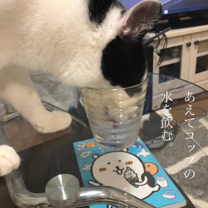 33bb84b8 d3ca 4228 9e0d 3566b6b94beb 1575188678139