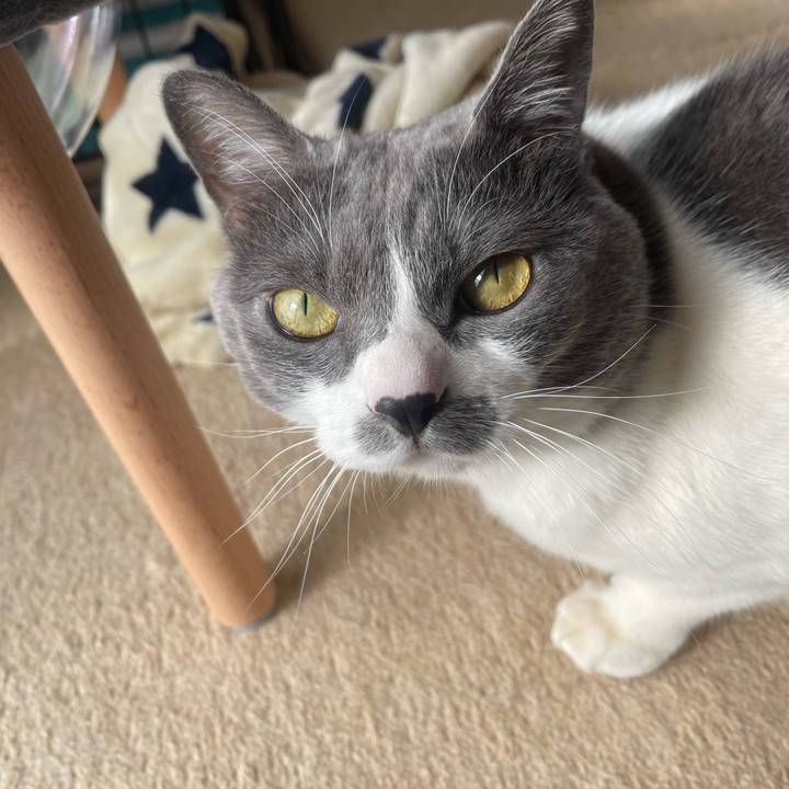 33bb93cb eba1 4c81 ae26 3a7404dfa7a9 1736211576961