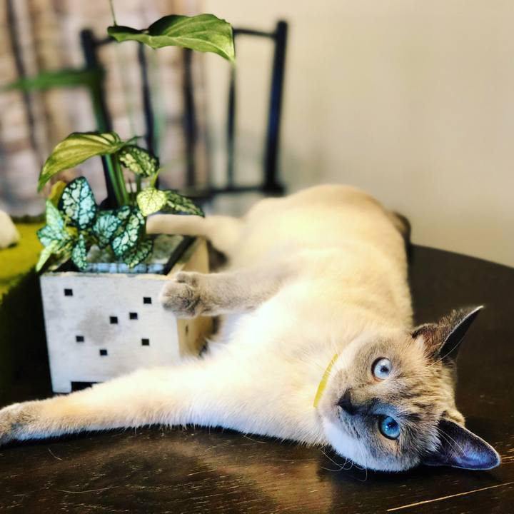 33bbbc78 7b7e 40ce 8a95 3bfdd3d8682a 1593177172509