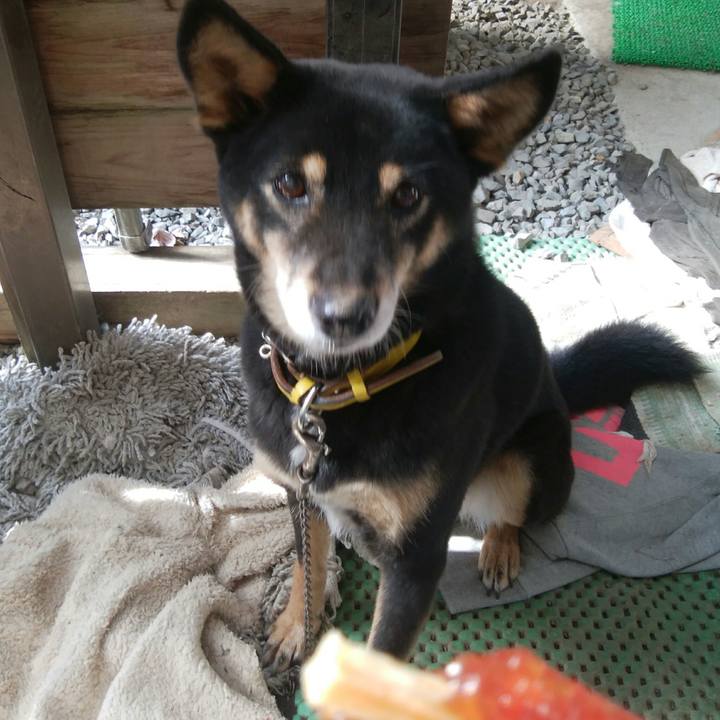 33bbea95 6b9e 4b71 915a a9dc864537b2 1509065414851