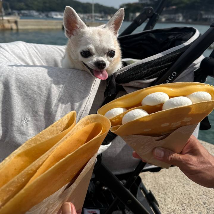 33bc23a4 adfd 45ac b926 3afaef160133 1760479066510