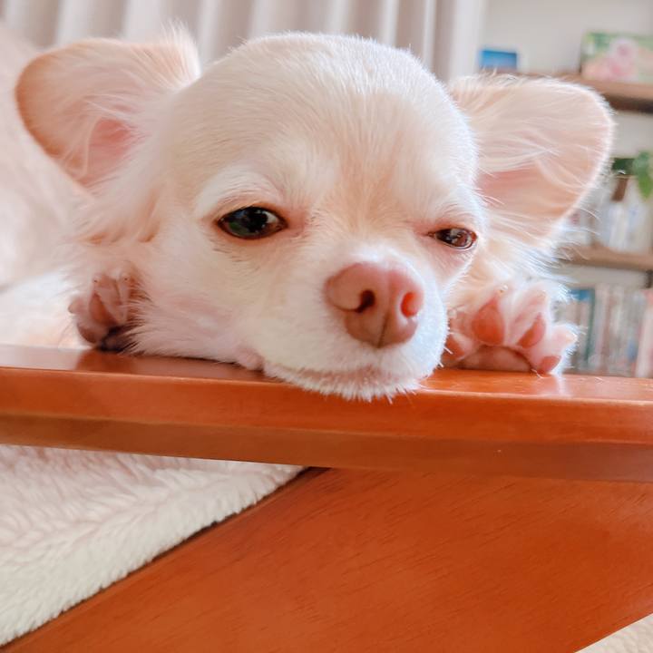 33bc413b b2a8 49ec a871 28a668549fef 1659773205353