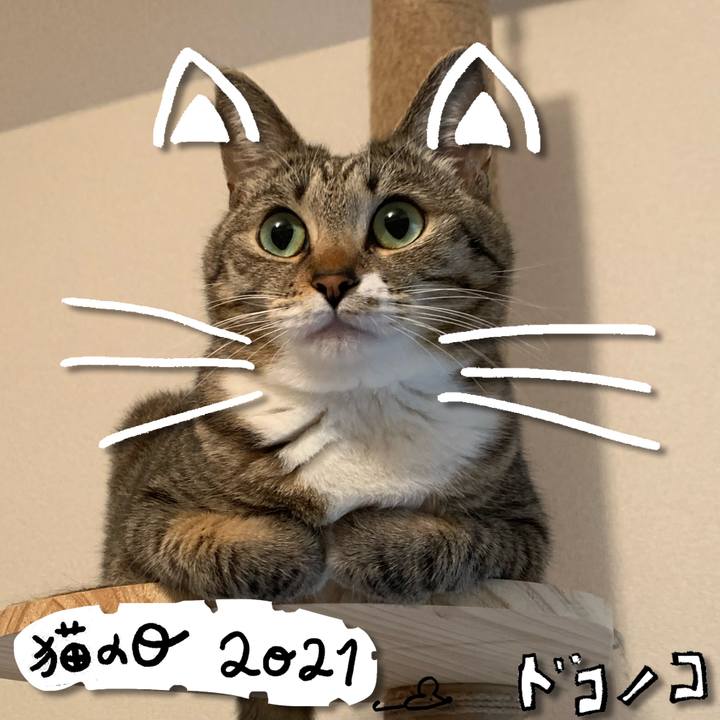 33bc95c4 5ba5 4f90 bbcb 9bb1b6129d38 1613971518579