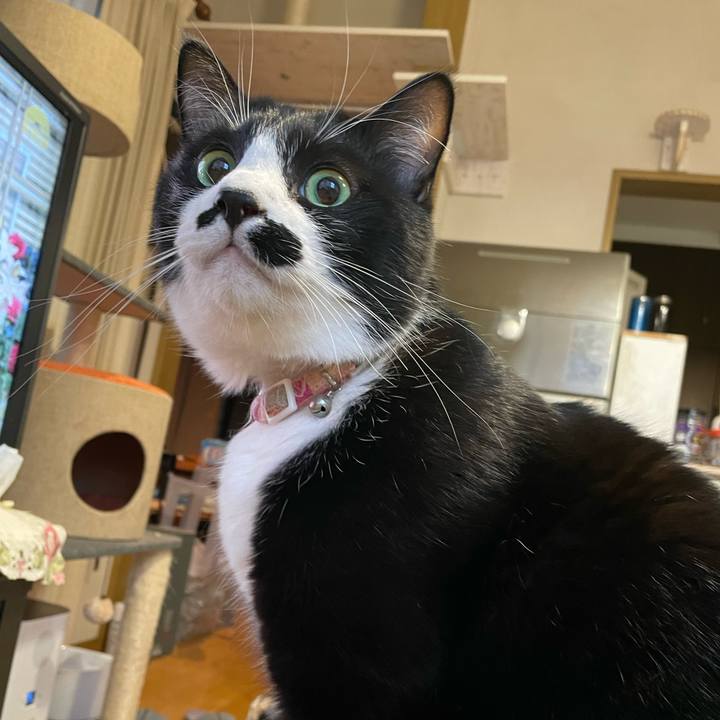 33bcce2c 06cf 4a94 a1f2 6d1aa9f94e4c 1670223647741