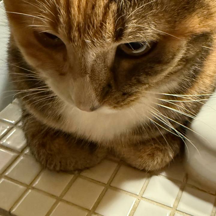 33bcf7e0 1651 4e50 97a0 a33b1da186eb 1770244436193