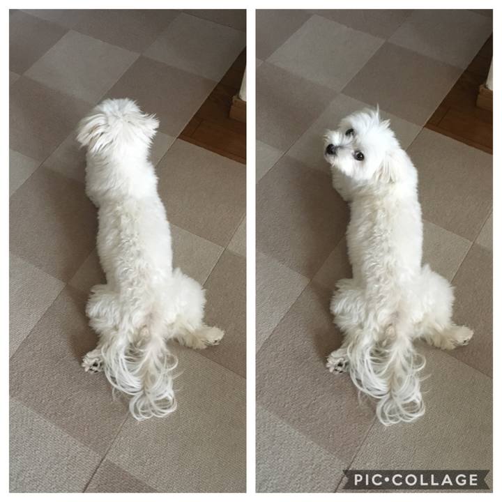 33bd0a76 72df 4c85 9e5a 2fef9c3d42a4 1563245954653