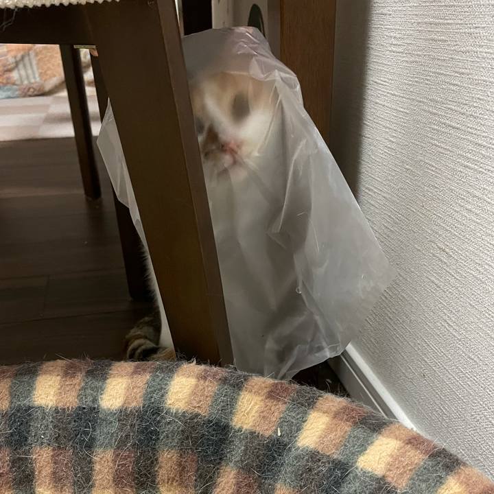 33bd10f4 73c0 45bf a5ba f95777846caa 1629210235824