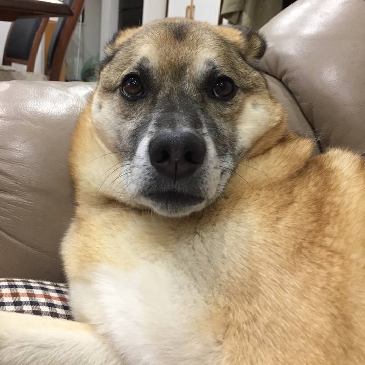 33bd6ec5 d1a3 4166 b267 6b338361bf36 1512999005270