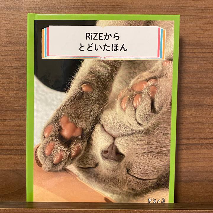 33bd7596 f954 4ce4 95c4 0768217e24d5 1625023177801