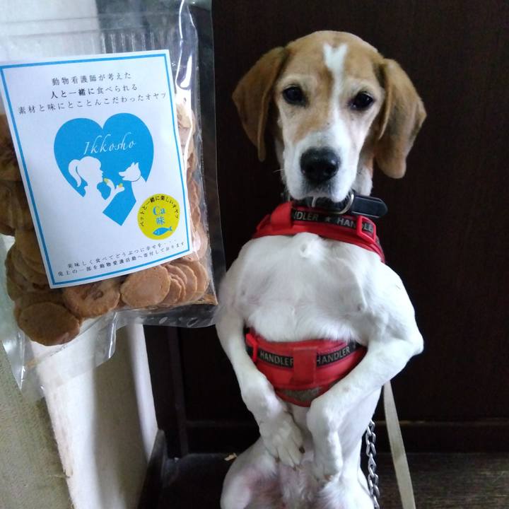 33bd952c 1cb8 488e 9d12 992f457af8df 1707892288952