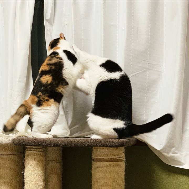 33bd9d63 0ca4 4e7d 8f24 fb3db6c7bfc1 1555641267967