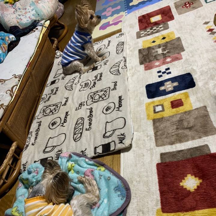 33bd9fbc 41b6 4304 bb5f fe0ebf969c27 1643277504925